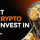 4 Most Promising Cryptos in 2025 That Could Lead the Next Bull Run Unstaked, Avalanche, Cardano, & Pi Network!