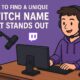 Twitch Name